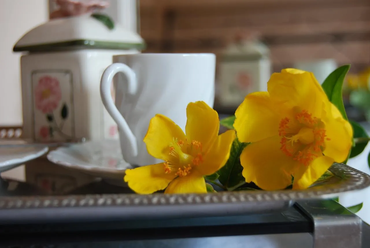 Le Querce Bed and Breakfast Curtatone Bed & Breakfast